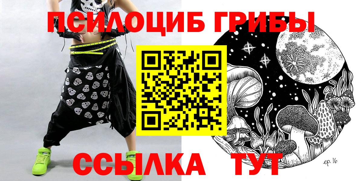 Псилоцибиновые грибы прущие грибы Лесной