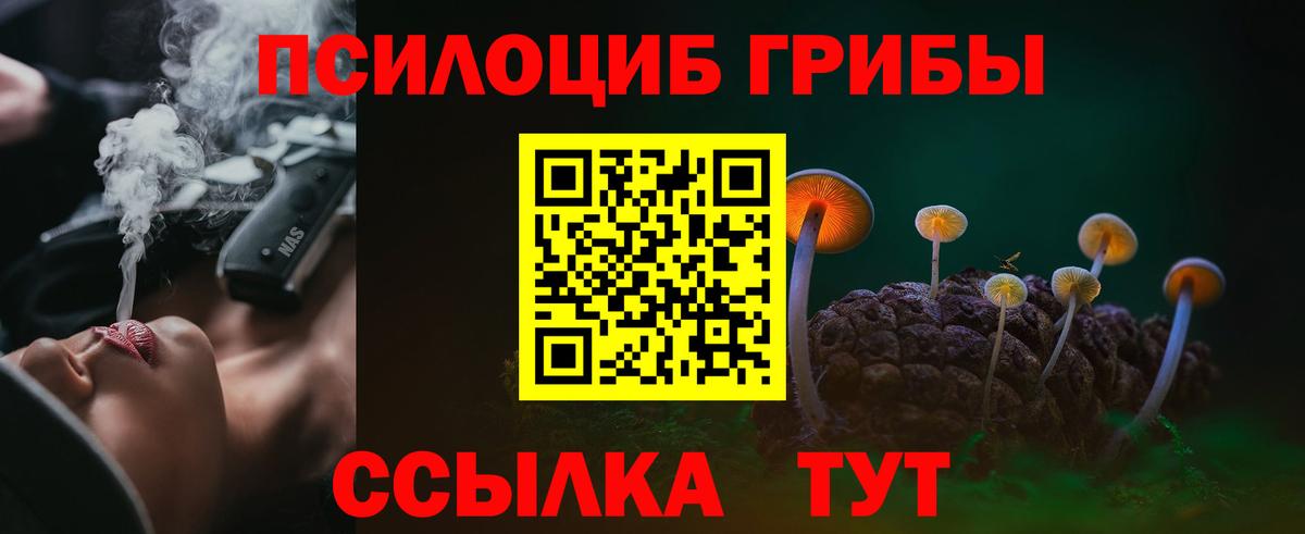 Псилоцибиновые грибы Cubensis  Вход с VPN  Лесной 
